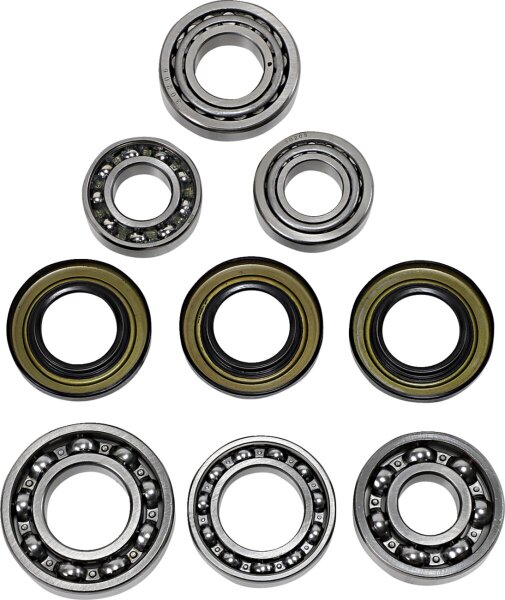 Dif Bearing Seal Kit Rr