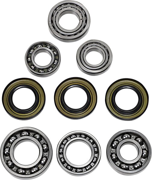 Dif Bearing Seal Kit Rr