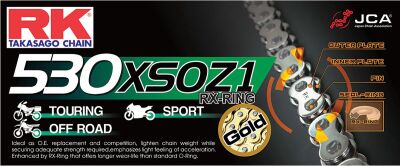 Chain Rk530xsoz1 Gg 100r