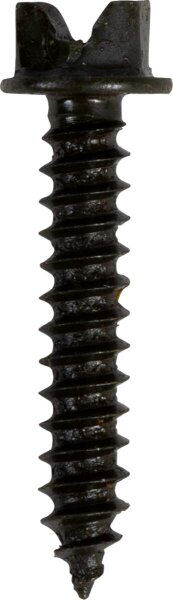 Screws Pro Gold 1 1k