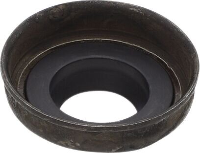 Dust Seal Rcu 12.5mm