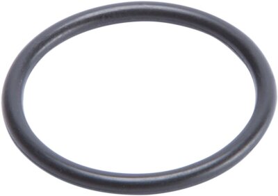 O Ring Comp Adjuster Pist