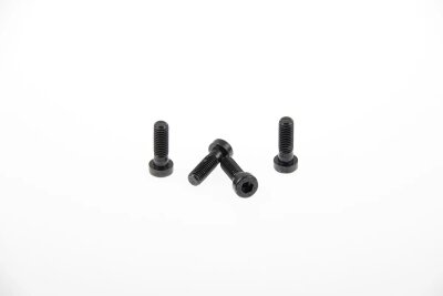 Fender Screws Vrod