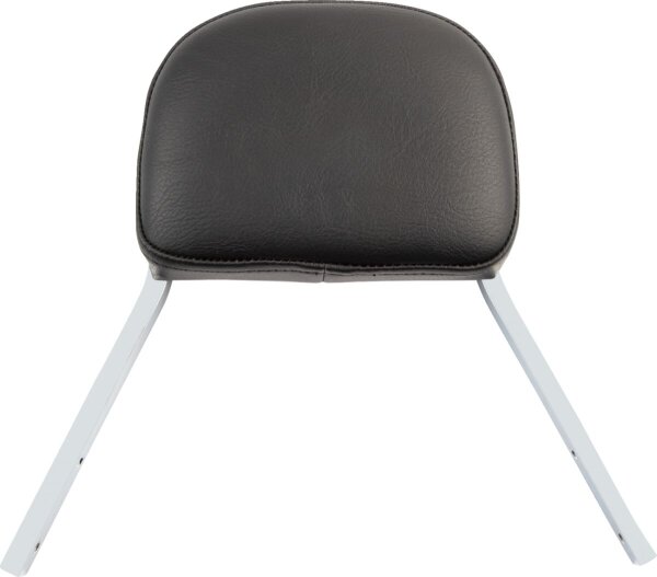 Sissy Bar Mini Wrrr 04-09