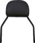 Backrest Det Mini Blk Dyn
