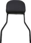 Backrest Det Shrt Blk Dyn