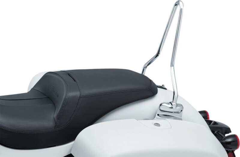 Sissybar W/mounts Ind 14+