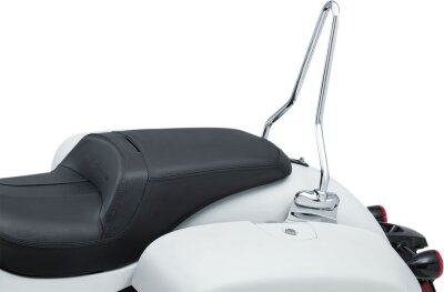 Sissybar W/mounts Ind 14+