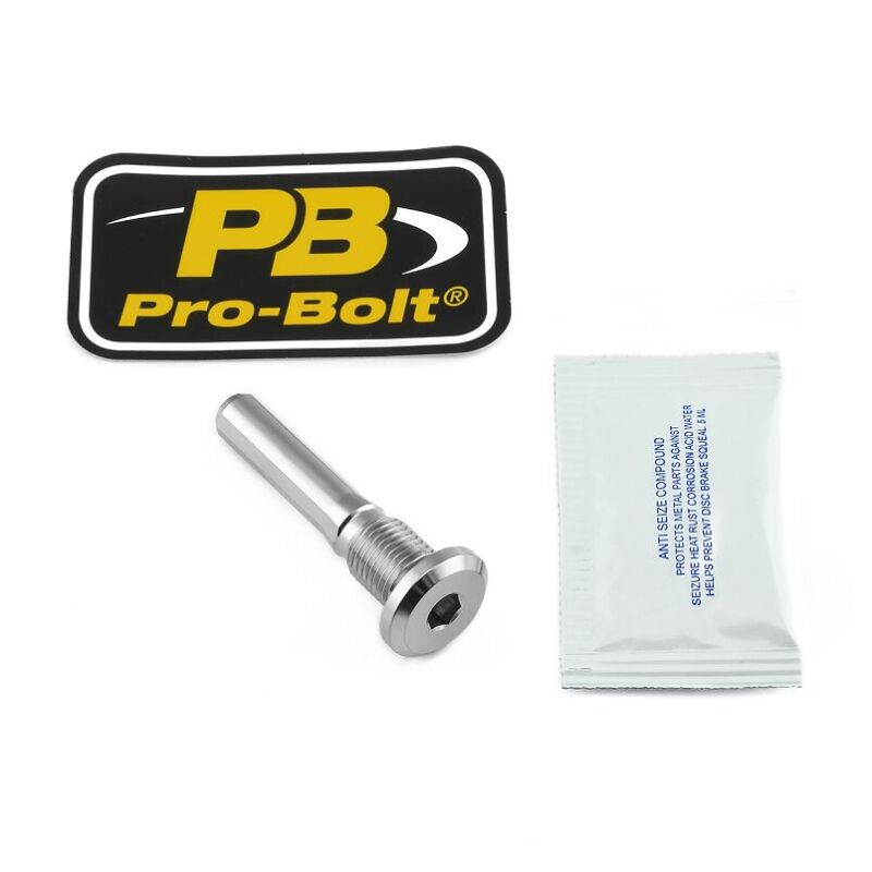 Bolt Pin Rear Brake Mount Tit