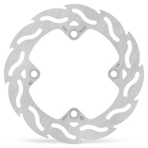 Brake Disc Flame Rear