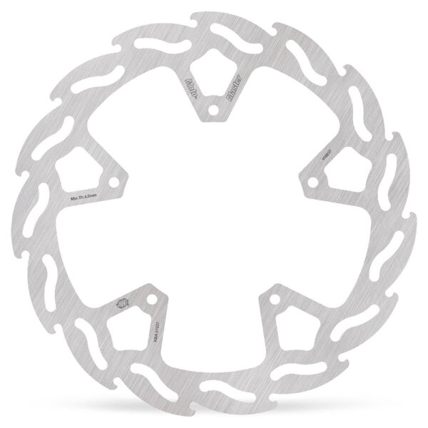 Brake Disc Flame Rear