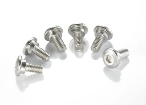 Brake Rotor Bolts