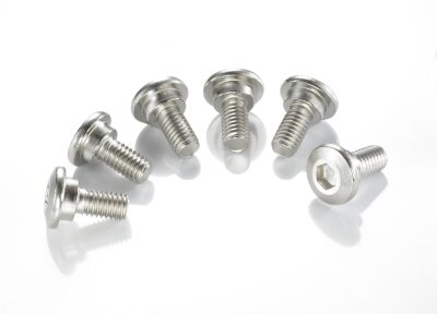 Brake Rotor Bolts