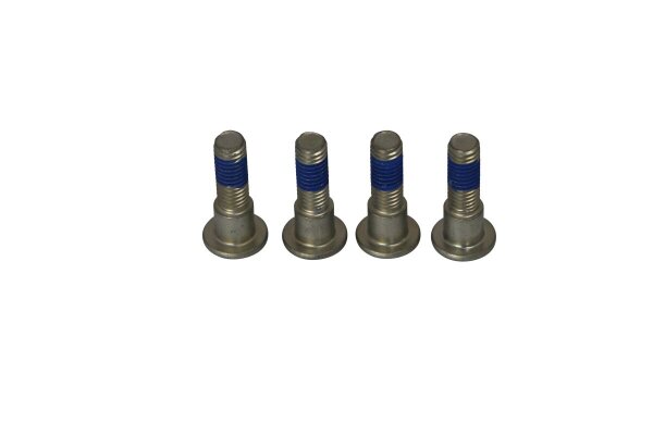 Brake Rotor Bolts