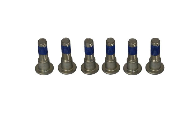Brake Rotor Bolts