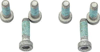 Brake Rotor Bolts