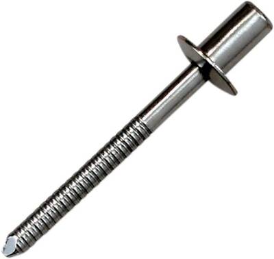 Rivet Ss D4 8x8 Clear