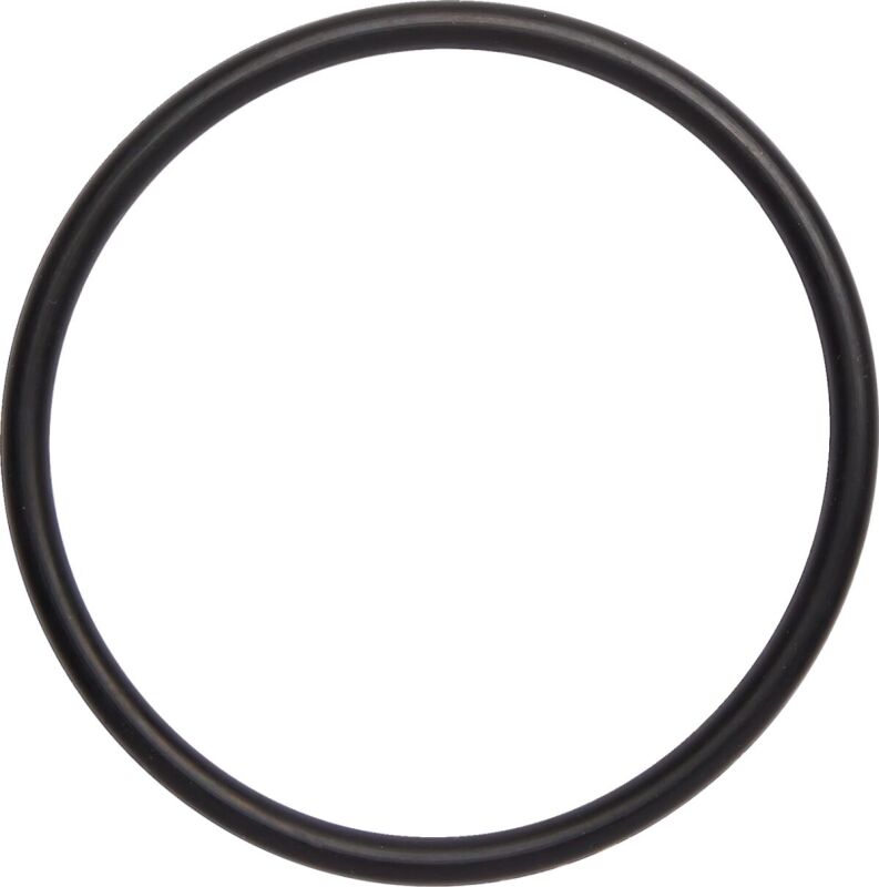 O-ring Exh Trx250r