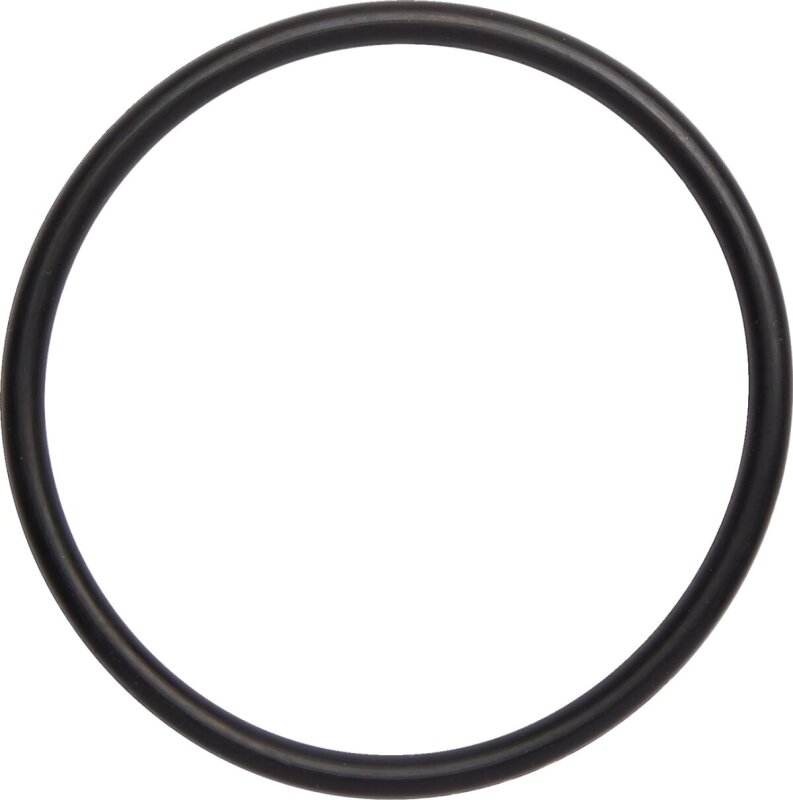 O-ring Exh Trx250r