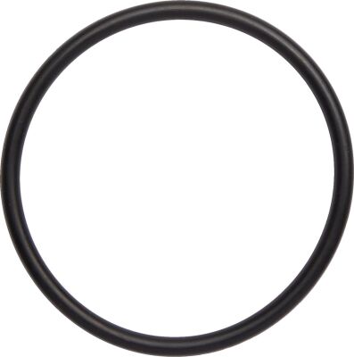 O-ring Exh Trx250r