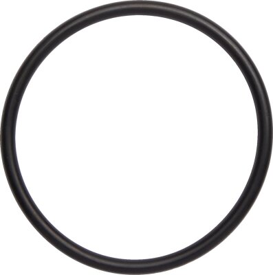 O-ring Exh Trx250r