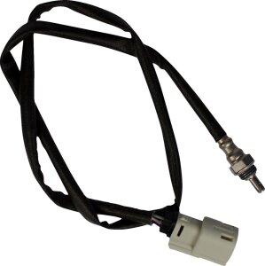 Sensor O2 12mm M8 17+ Gry