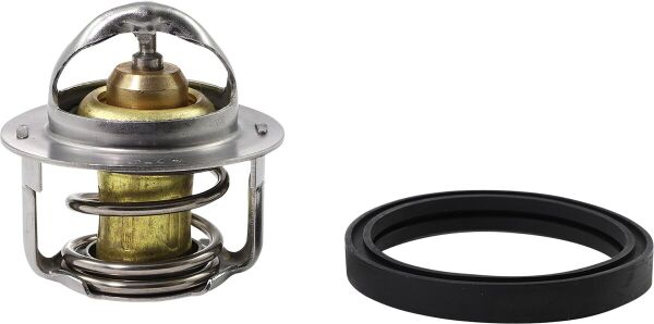 Thermostat Polaris