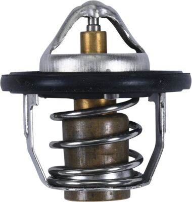 Thermostat Polaris