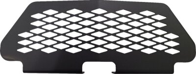 Grill Rzr Xp 1000