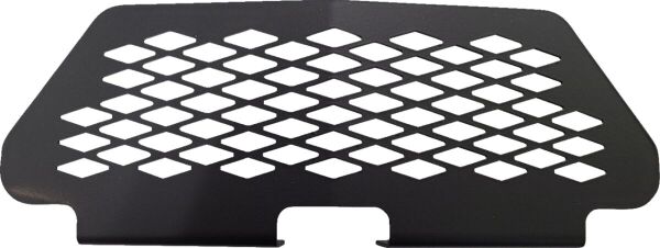 Grill Rzr Xp 1000