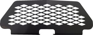 Grill Rzr Xp 1000