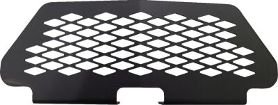 Grill Rzr Xp 1000