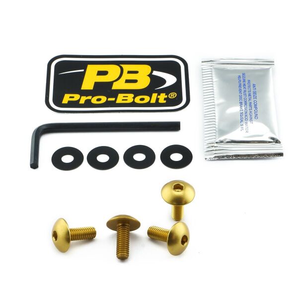Bolt Kit Lic Plate M6x16 Gold