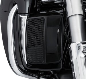 Lights Fang Lwr Frng Chr