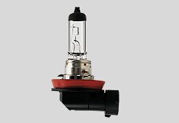 Bulb H8 12v 35w Pgj19-1