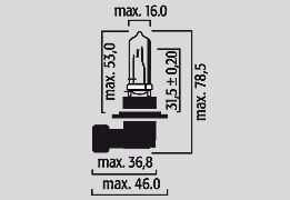 Bulb Hb3 12v 60w P20d