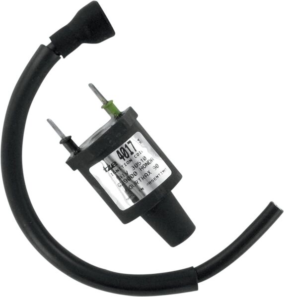 H/s Honda Ign Coil