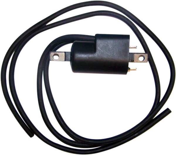 Coil Ignition Sea Doo