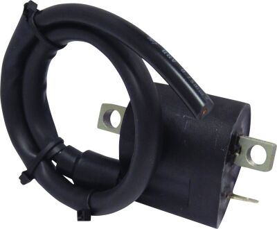 Ignition Coil Ho/ka