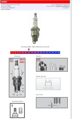 Champion S-plug L87yc
