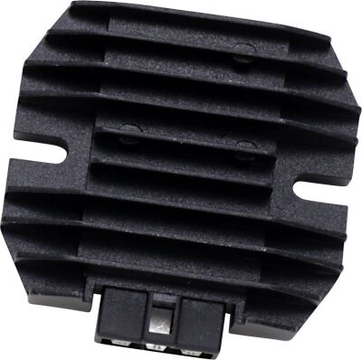 Regulator/rec 14-418