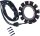 Stator Hd/bu
