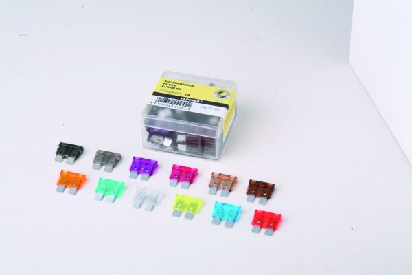 Fuses Standard Size 1a 50pk