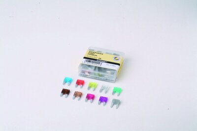 Fuses Mini 2a 50pk