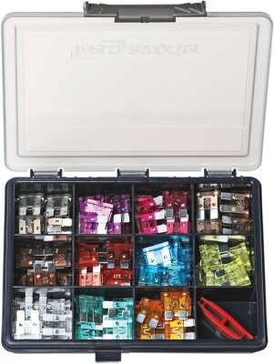 Fuses Set Standrd 111pc