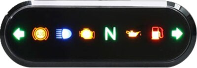 Gauge Indicator Light