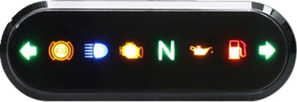 Gauge Indicator Light