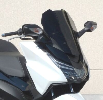 Wdscrn Honda Forza 125