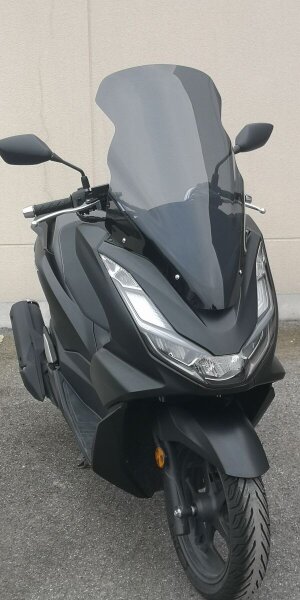 Wndscrn Hon Pcx125 Clr