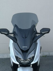 Wndscrn Forza125 Smk